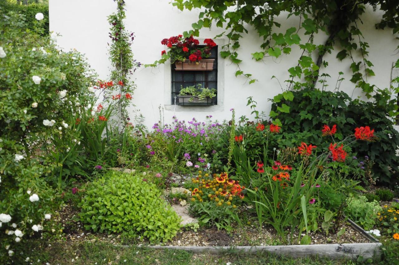 Il Sanco Bed & Breakfast Selva di Progno ภายนอก รูปภาพ