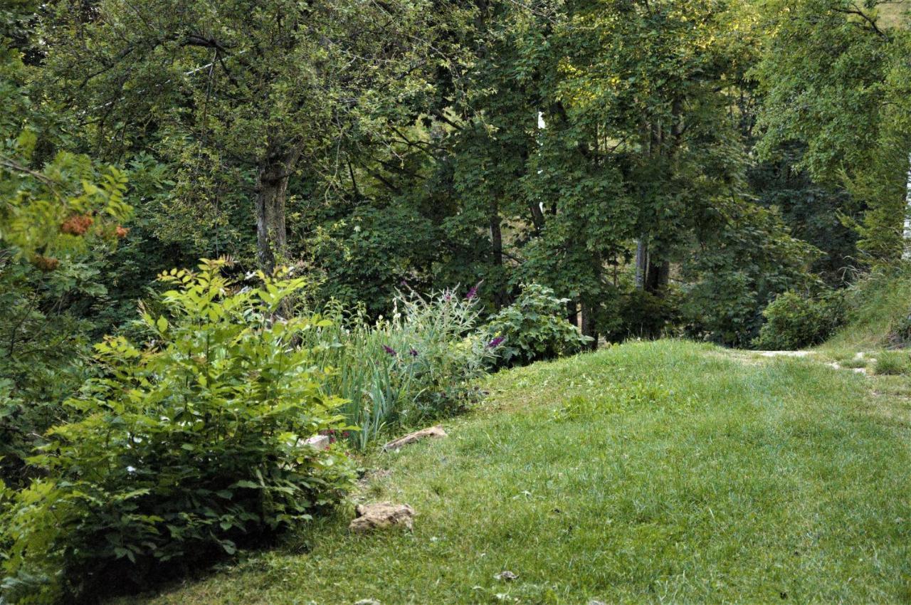 Il Sanco Bed & Breakfast Selva di Progno ภายนอก รูปภาพ